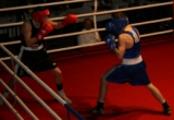 V Nitre s dvomi boxermi z ABC Malacky